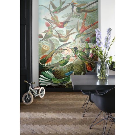 Esta Home| Birds Tropical Jungle 158954 (Met Gratis Lijm) (Free Glue Included)