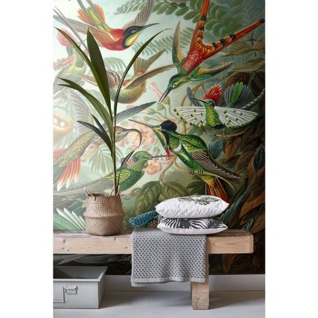 Esta Home| Birds Tropical Jungle 158954 (Met Gratis Lijm) (Free Glue Included)