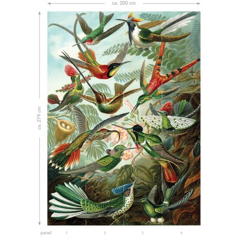 Esta Home| Birds Tropical Jungle 158954 (Met Gratis Lijm) (Free Glue Included)