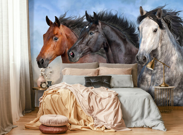 Paarden Wall Mural 14137