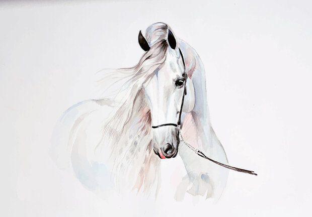 Paard Wall Mural 14086