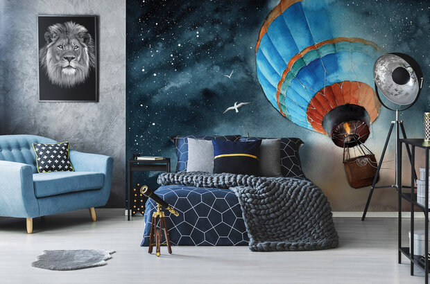 Sky Art Balloon Wall Mural 14074