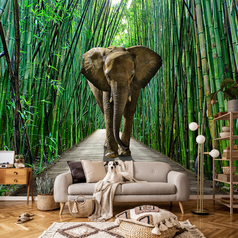 Olifant Wall Mural 14344