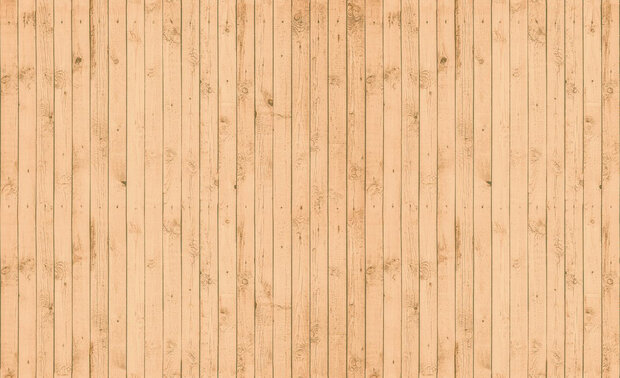 Wood Photo Wallpaper Mural 1011P8