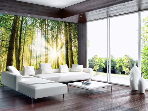 Forest Wall Mural 10143P8