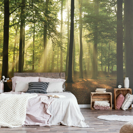 Forest Photo Wall Mural 10331P8