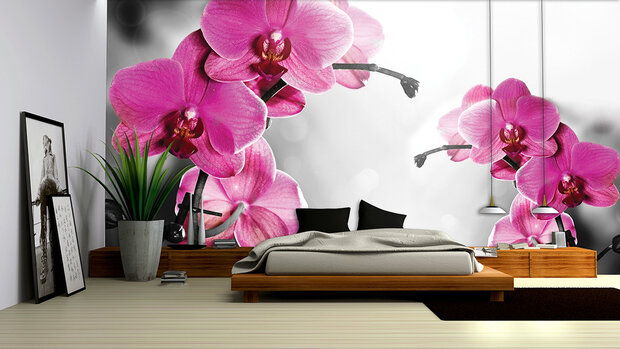 Flowers &amp; Plants Photo Wallpaper Mural 1034P8