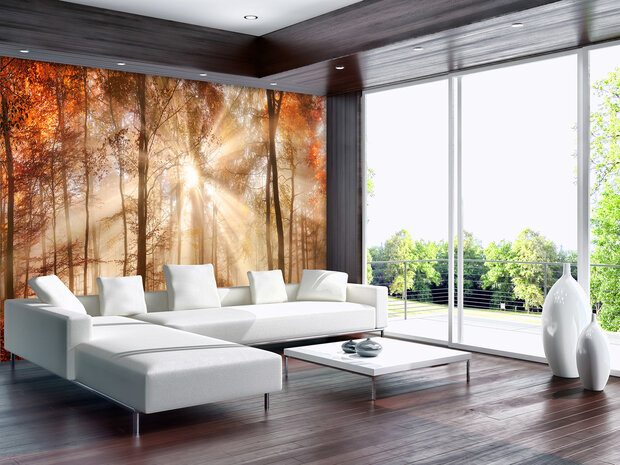 Forest Photo Wall Mural 10471P8
