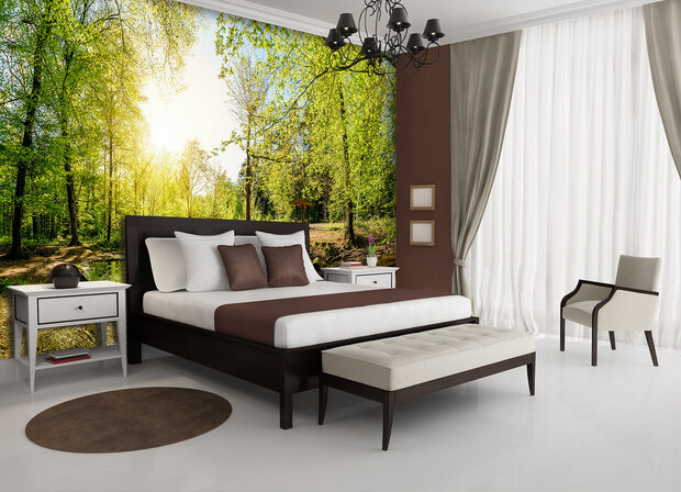 Forest Photo Wall Mural 10508P8