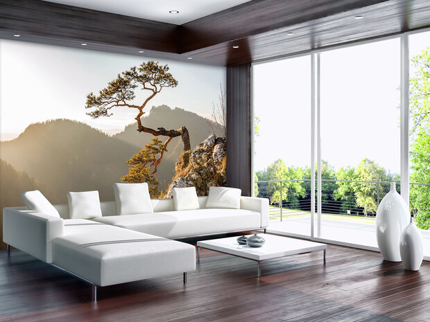 Forest Trees Mountains Photo Wall Mural 10511P8