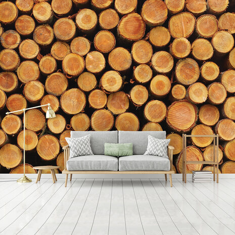 Wood Photo Wallpaper Mural 1068P8