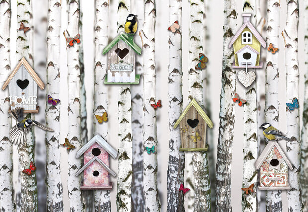 Photo Wall Mural BerkenForest Bird-Boxes 10950P8