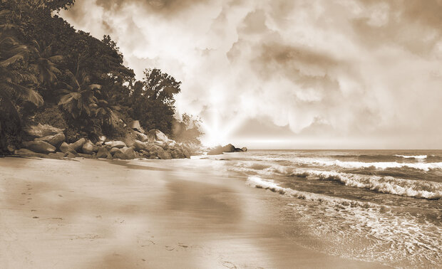 Beach Sepia Photo Wall Mural 10964P8