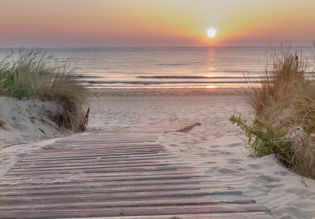 Looppad Duinen Fotobehang 13048P8