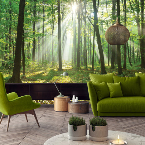 Forest Photo Wall Mural 10329P8