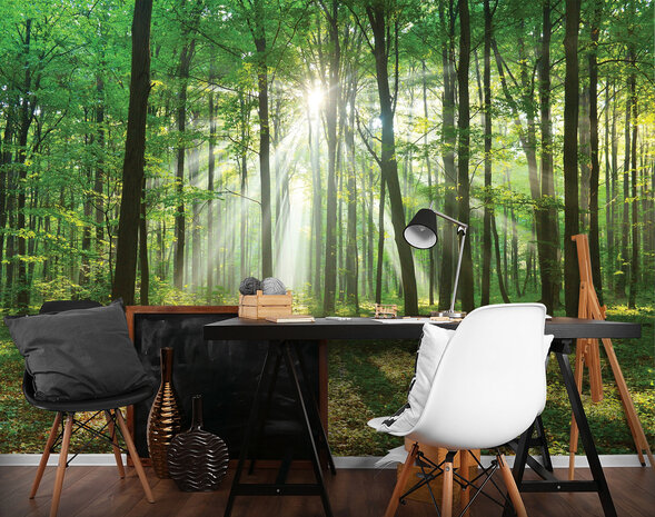 Forest Photo Wall Mural 10329P8