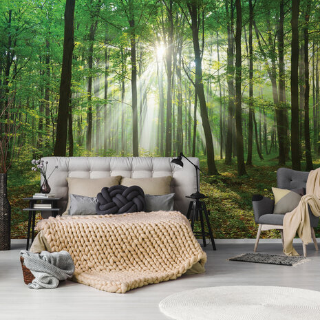 Forest Photo Wall Mural 10329P8