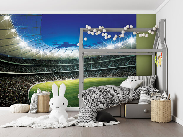 Soccer Photo Wall Mural 323P8