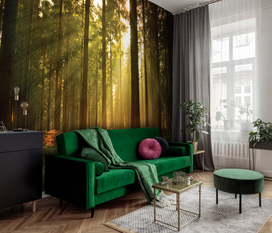 Forest Photo Wall Mural 576P8