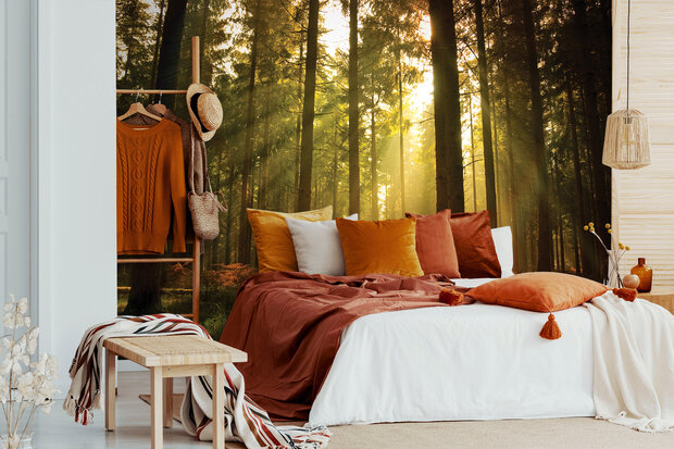 Forest Photo Wall Mural 576P8