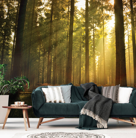 Forest Photo Wall Mural 576P8