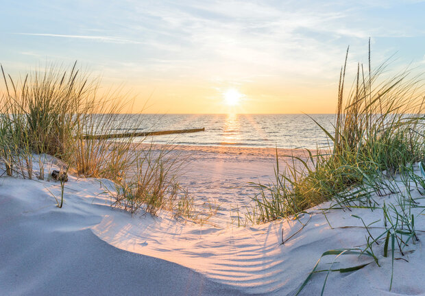 Beach Dunes Photo Wall Mural 14020P8