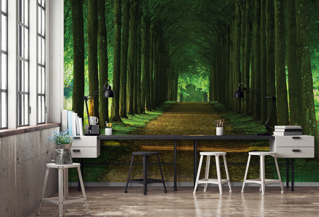 Trees &amp; Leaves Photo Wallpaper Mural 2285P8