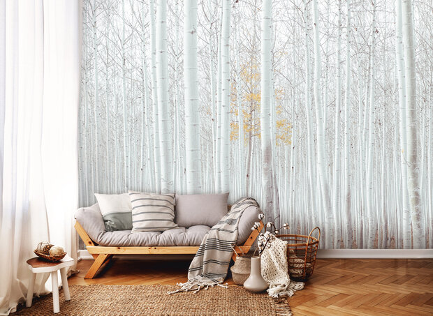 Forest Photo Wall Mural 12593P8