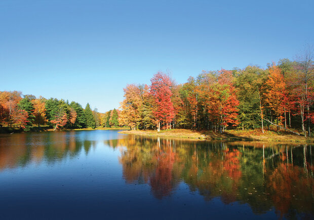 Lake Photo Wall Mural 12113P8