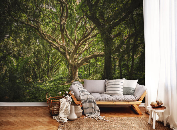 Tree Photo Wall Mural 13181P8