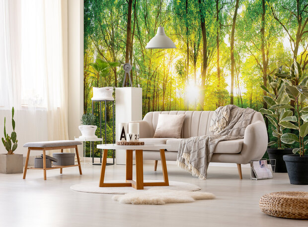 Photo Wall Mural Forest 13461P8