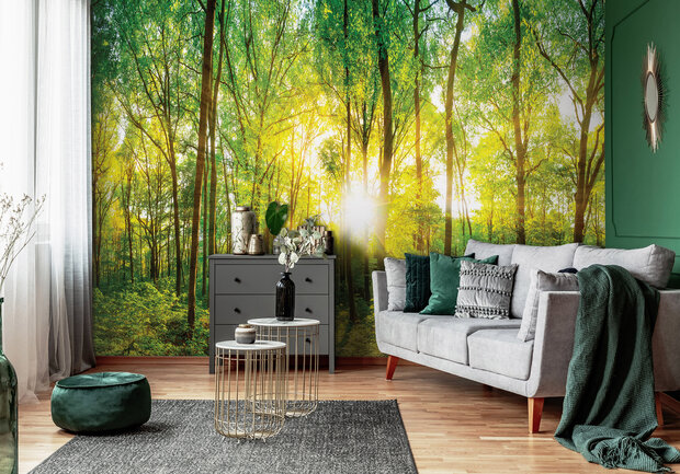 Photo Wall Mural Forest 13461P8