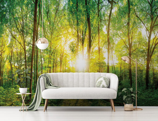 Photo Wall Mural Forest 13461P8