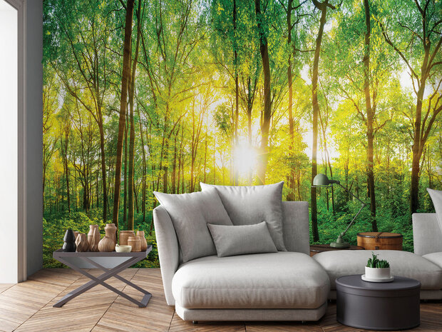 Photo Wall Mural Forest 13461P8