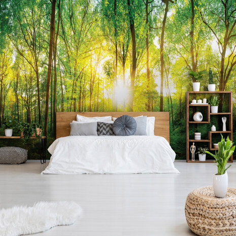 Photo Wall Mural Forest 13461P8