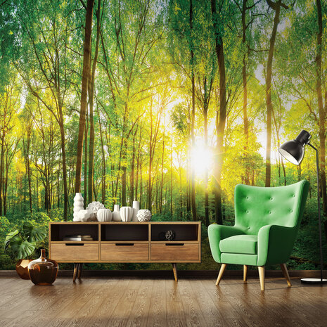 Photo Wall Mural Forest 13461P8