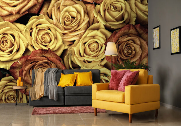 Roses Photo Wall Mural 12579P8