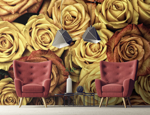 Roses Photo Wall Mural 12579P8