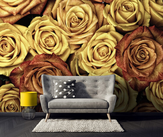 Roses Photo Wall Mural 12579P8