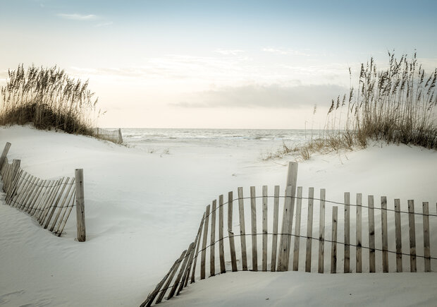 Beach Dunes Photo Wall Mural 13340P8