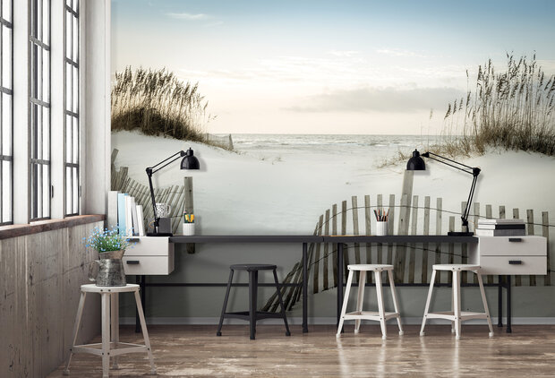 Beach Dunes Photo Wall Mural 13340P8