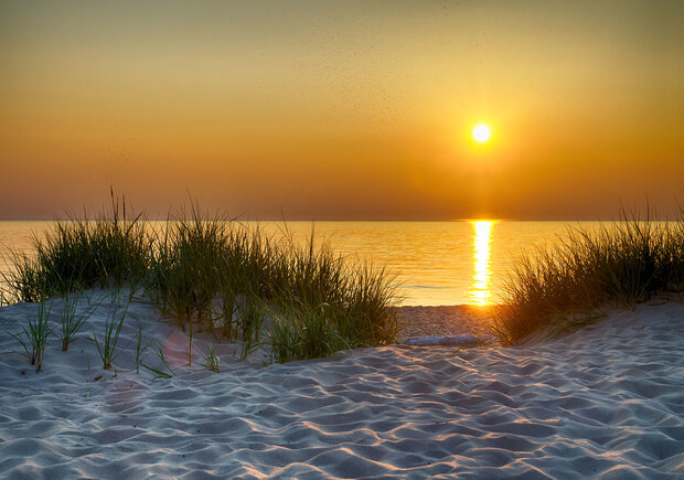 Dunes Photo Wall Mural 11577P8