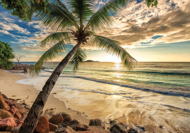 Beach PalmTree Photo Wall Mural 11732P8