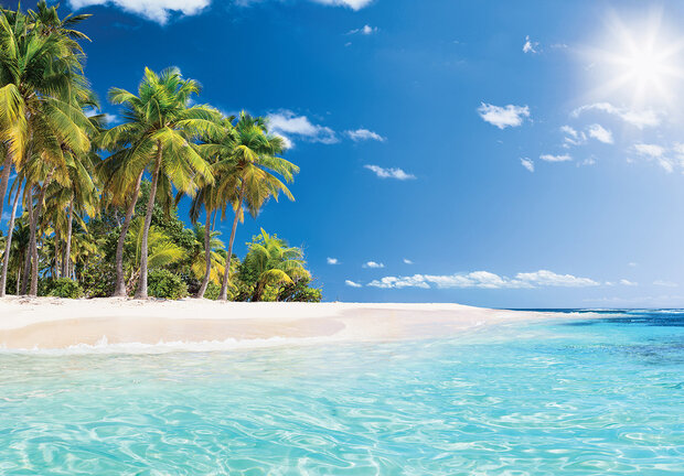 Beach Palmtrees Photo Wall Mural 13990P8