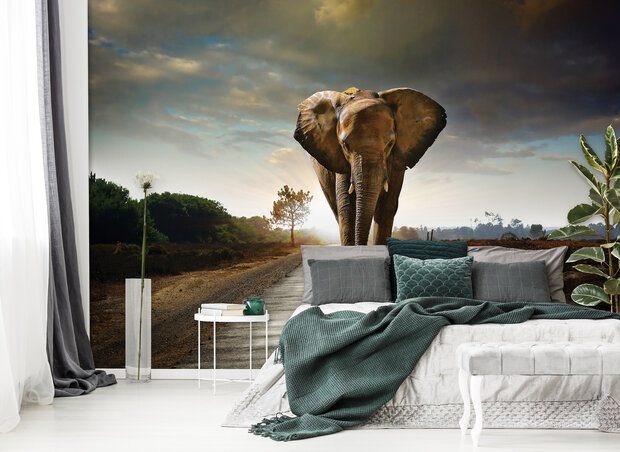 Olifant Fotobehang 12616P8