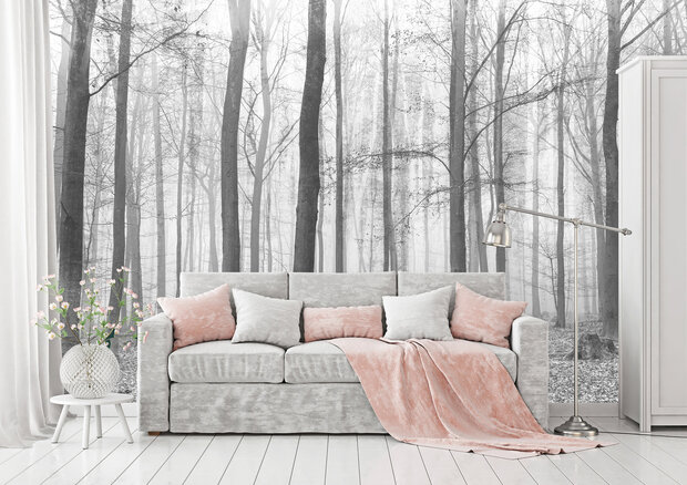 Forest Photo Wall Mural 11223P8