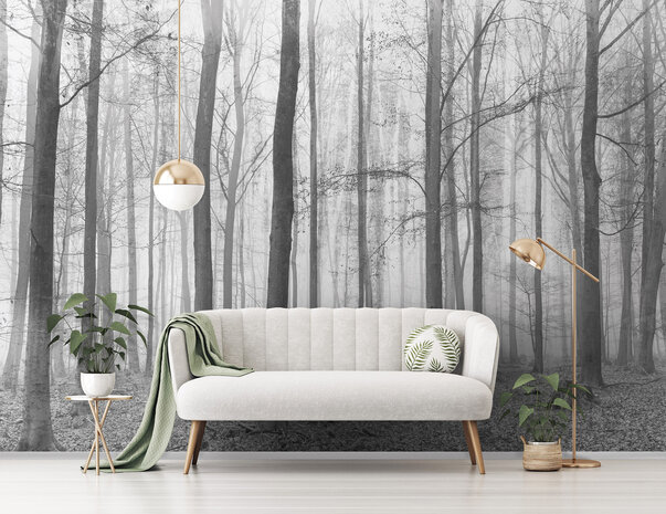 Forest Photo Wall Mural 11223P8
