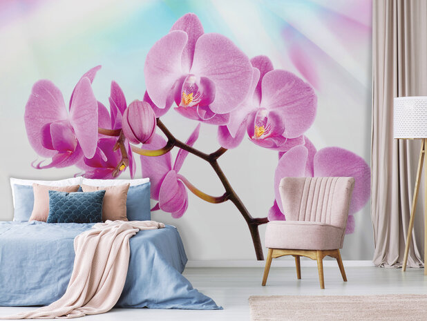 Flowers &amp; Plants Photo Wallpaper Mural 116P8