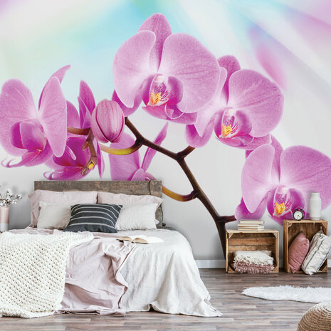 Flowers &amp; Plants Photo Wallpaper Mural 116P8