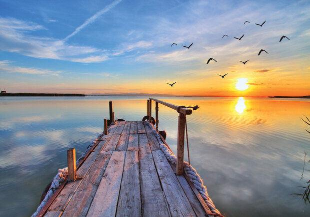 Sunrise Photo Wall Mural 11619P8